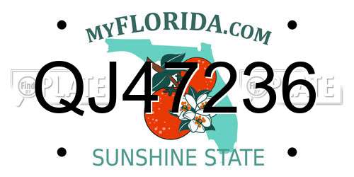 QJ47236 Florida License Plate