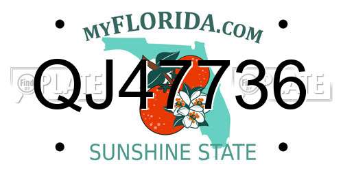 QJ47736 Florida License Plate
