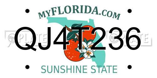 QJ4T236 Florida License Plate
