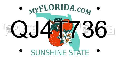QJ4T736 Florida License Plate
