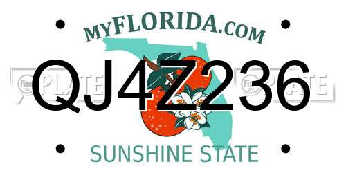 QJ4Z236 Florida License Plate
