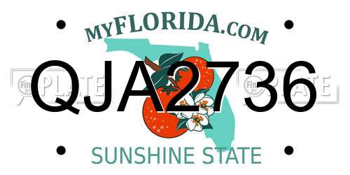 QJA2736 Florida License Plate