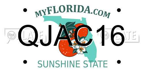 QJAC16 Florida License Plate