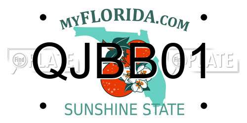 QJBB01 Florida License Plate