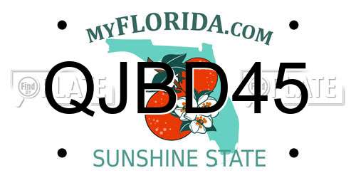 QJBD45 Florida License Plate