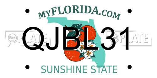 QJBL31 Florida License Plate
