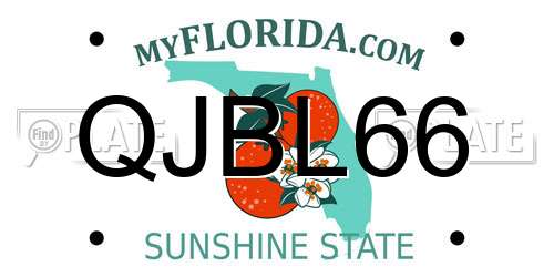 QJBL66 Florida License Plate