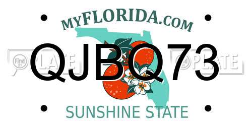 QJBQ73 Florida License Plate