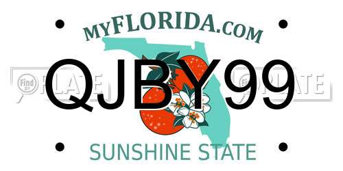 QJBY99 Florida License Plate