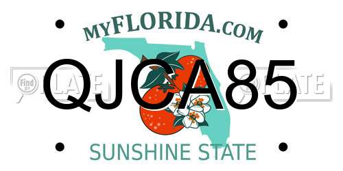 QJCA85 Florida License Plate