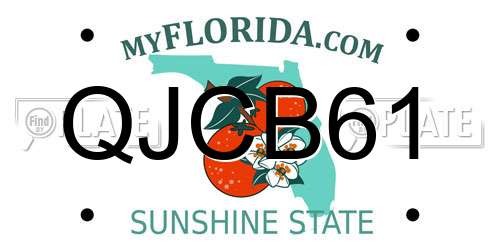 QJCB61 Florida License Plate