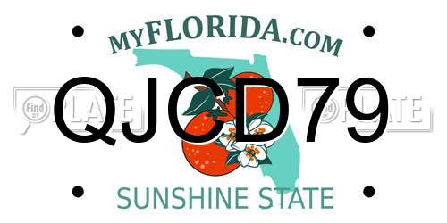 QJCD79 Florida License Plate