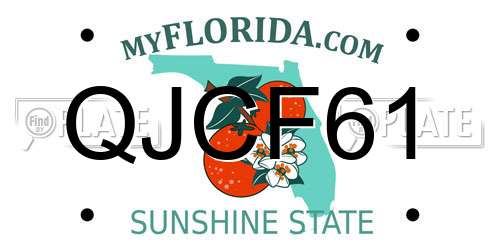 QJCF61 Florida License Plate