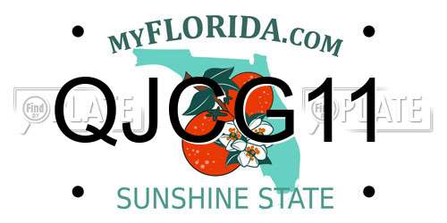 QJCG11 Florida License Plate
