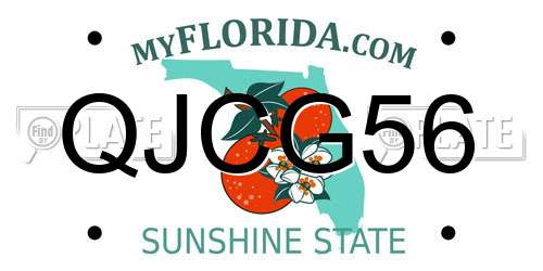 QJCG56 Florida License Plate