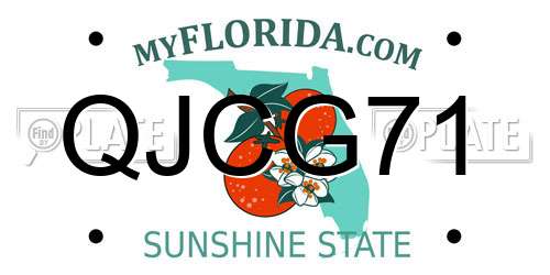 QJCG71 Florida License Plate