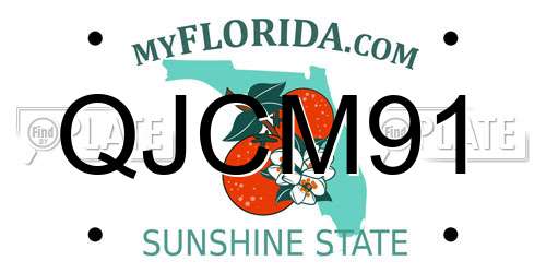 QJCM91 Florida License Plate