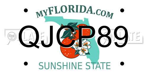 QJCP89 Florida License Plate