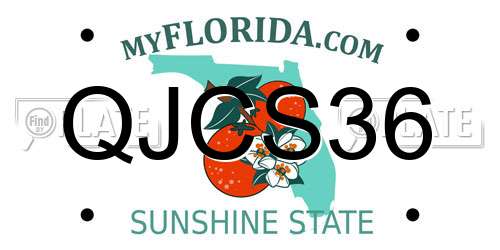 QJCS36 Florida License Plate