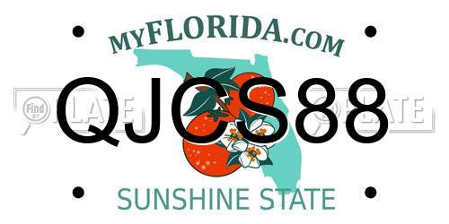QJCS88 Florida License Plate