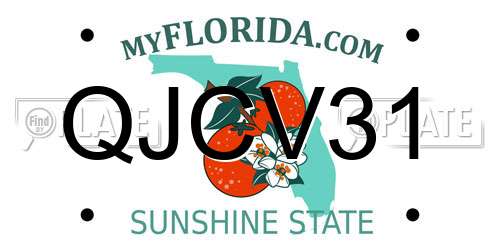 QJCV31 Florida License Plate