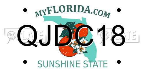 QJDC18 Florida License Plate