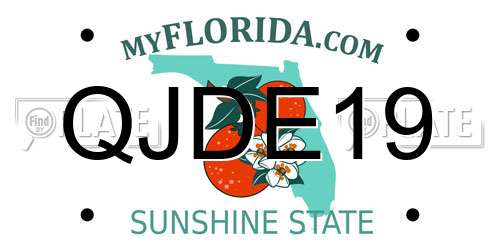 QJDE19 Florida License Plate