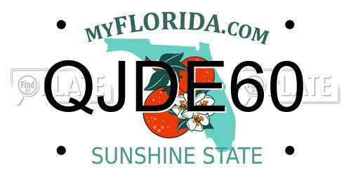 QJDE60 Florida License Plate