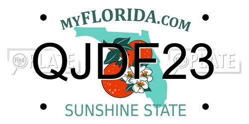 QJDF23 Florida License Plate