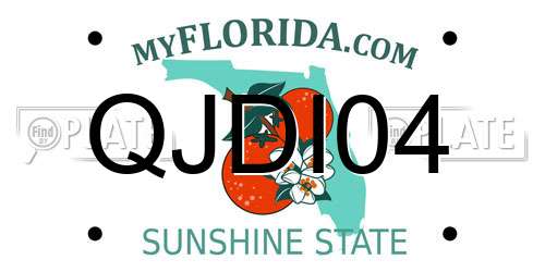 QJDI04 Florida License Plate