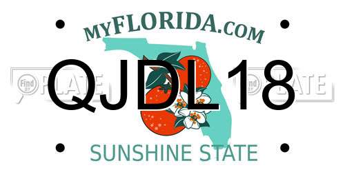 QJDL18 Florida License Plate