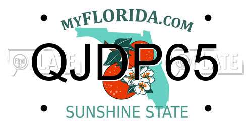 QJDP65 Florida License Plate