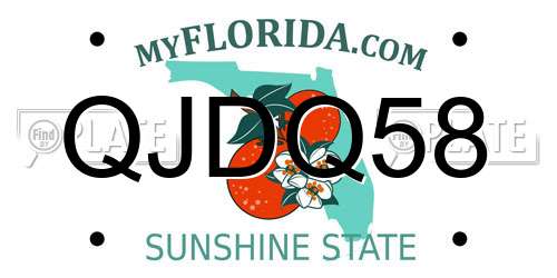 QJDQ58 Florida License Plate