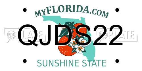 QJDS22 Florida License Plate