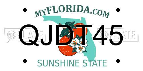 QJDT45 Florida License Plate