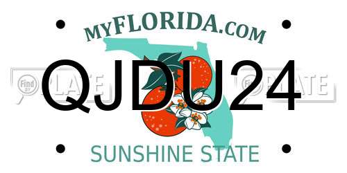 QJDU24 Florida License Plate