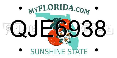 QJE6938 Florida License Plate