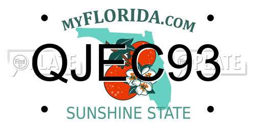 QJEC93 Florida License Plate