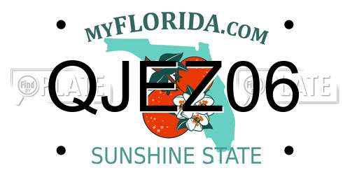 QJEZ06 Florida License Plate