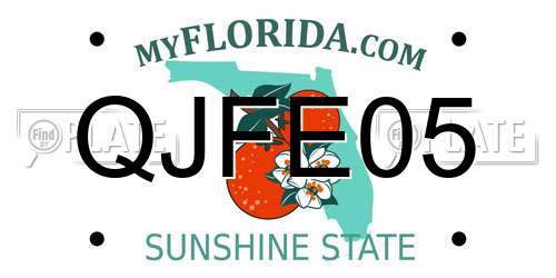QJFE05 Florida License Plate