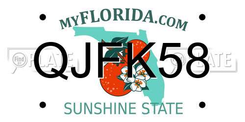 QJFK58 Florida License Plate
