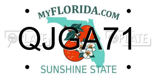 QJGA71 Florida License Plate