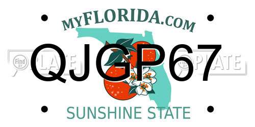 QJGP67 Florida License Plate