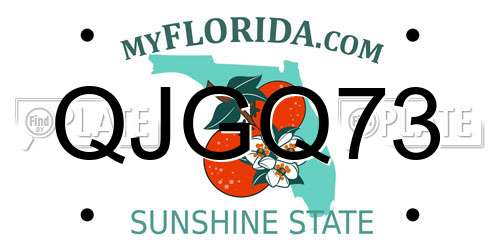 QJGQ73 Florida License Plate