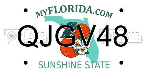 QJGV48 Florida License Plate