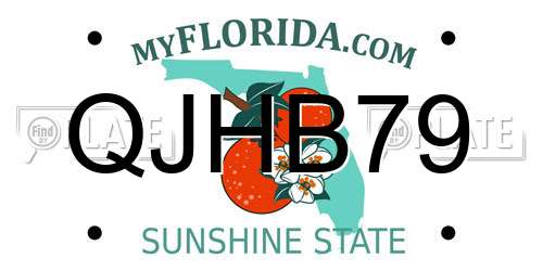 QJHB79 Florida License Plate