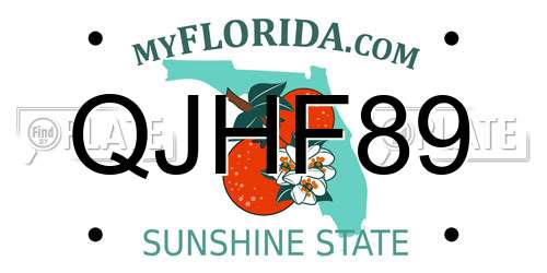 QJHF89 Florida License Plate