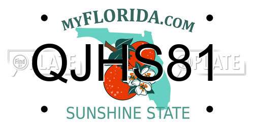 QJHS81 Florida License Plate