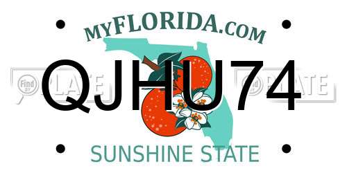 QJHU74 Florida License Plate