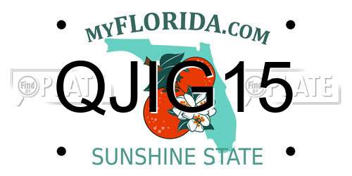 QJIG15 Florida License Plate